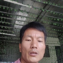 黄金百香果钦蜜9号果头大肉质饱满每天都是新鲜采摘发