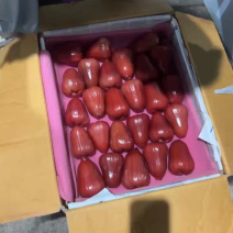 海南三亚黑金刚莲雾大果现摘现发海绵少汁水多新鲜水果