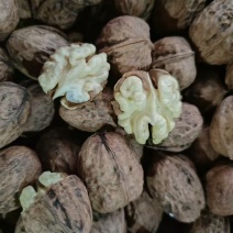 大优鲜核桃