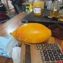 产地直发，质量保证，价格实惠，来电发货全国
