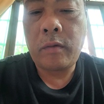 青竹鲩鱼苗，军鱼苗量大从优售后服务全程跟踪指导