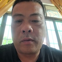 叉尾鮰鱼苗叉尾鱼苗批发斑点叉尾鮰鱼苗大量供应