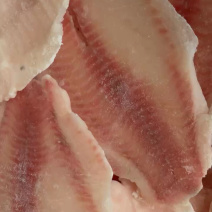 生鲷鱼片鱼排原味日式刺身煎烤料理生鱼片铁板烧寿司