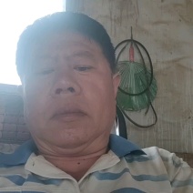芽苗菜