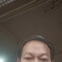 新鲜活冻面包蟹，长期面向全国超低价批发，够肥够饱满。