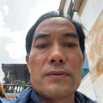 精品无花果产地发货供应各大电商市场可视频看货