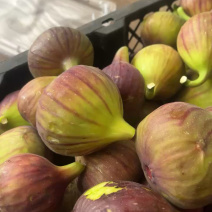 无花果果干