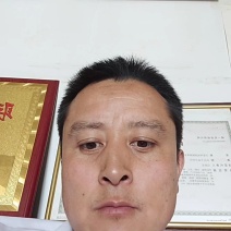 紫花苜蓿种子甘肃苜蓿籽批发苜蓿草种子发芽率好