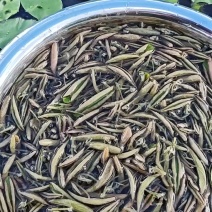 莼菜（统货）