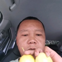 《钦蜜9号》黄金百香果/两广百香果/海南产地货源整车批发