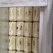 保鲜速冻蜂王浆