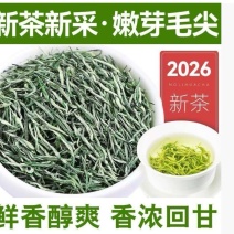 特级雨毛尖新茶