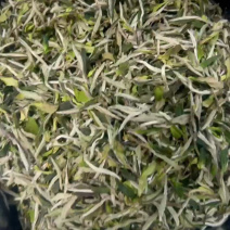 老树牡丹新茶优质茶品品味好茶支持一件代发