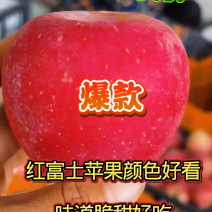 【老板力荐】红富士苹果大量有货价格合理电话联系