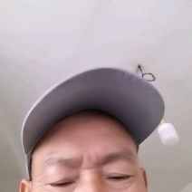 《精品草鱼苗》抗病毒规格齐全欢迎老板咨询云贵川专送