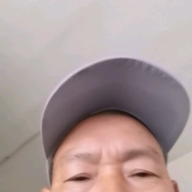 《养殖水库》精品鲤鱼苗，好养殖，可大量供货，提枝术交流！