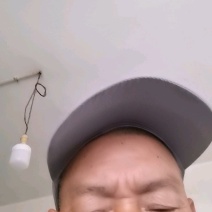 青鱼:本养殖场养殖场长期出售鱼苗，下塘鱼质量保证……