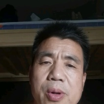 马肉蒙古国冻马肉四分五分体精修可视频看货一手货源基地直发