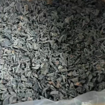 东北黑木耳秋木耳无根肉厚对接市场商超欢迎来电洽谈