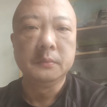 鞭炮笋长寿菜凉拌菜盐渍马尾藻火锅食材