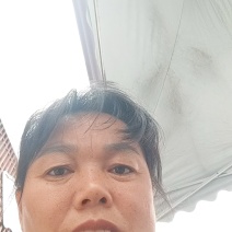 新鲜粽叶大量供应现采现发品质保证量大价优欢迎来电