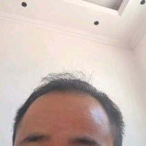 鲜活美贝太子贝四不像。支持快递，零担整运，整车，航空运输