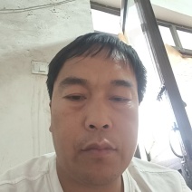 (精品菠菜)一手货产地直发，品质保证加工厂食堂市场