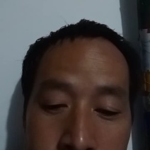 北海海鸭蛋皮蛋20枚30枚无铅松花蛋即食