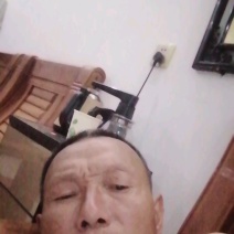 107速生杨