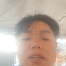 苦斋