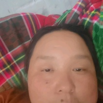 番薯叶红薯叶基地直发大量有货一件代发。