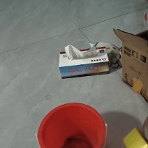 孔雀蛋礼盒，孔雀无精蛋，一盒装8枚孔雀蛋，一盒装6枚