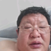 干苹果渣