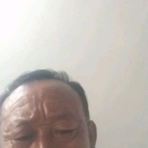 常年出售干鸡屎粪一袋60斤10元散载280元一吨禽畜粪便