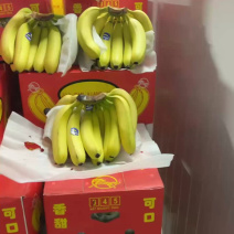 二黄蕉威廉斯皮薄肉多常年供应/精品香蕉软糯香甜物美价廉