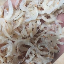 新鲜无盐好虾皮无盐淡干虾皮宝宝虾皮看货品尝装