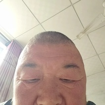 凯特杏，大量凯特杏上市了，个大饱满，产地直供，需要的老板