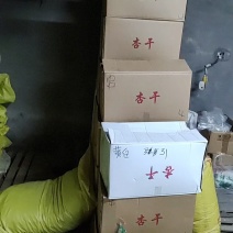 蔚县土特产一手货源优质串红大杏干3厘米左右