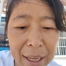 磷虾批发