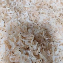 新鲜无盐好虾皮无盐淡干虾皮宝宝虾皮看货品尝装