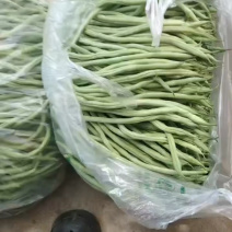 甘肃豆王，豆王，脱水豆王，20万亩基地欢迎选购