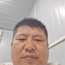 蝇蛆，活冻虫，水煮虫，活虫，虫浆