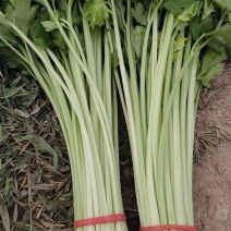 香芹净菜