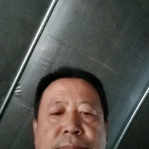 【推荐】干杏鲍菇根片产地一手货源电商超市一件代发欢迎来电