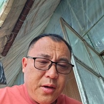 优质杂交苦瓜苗质量保证欢迎采购基地直发