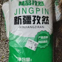2026新疆小粒孜然