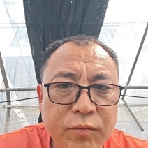 羊角蜜甜瓜苗根系发达产量高品质保障欢迎联系