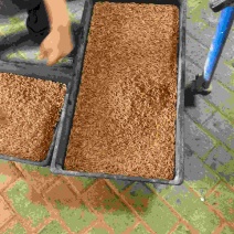 郴州本地养殖