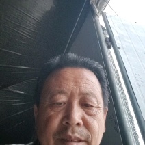 松蘑腿，质优价廉，有需要的来