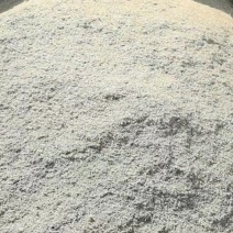 新产孜然颗粒饱满